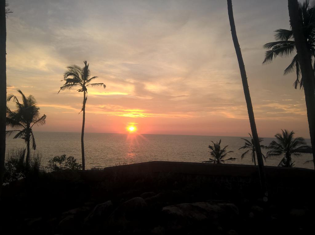 Hotel Seaweed Kovalam Extérieur photo